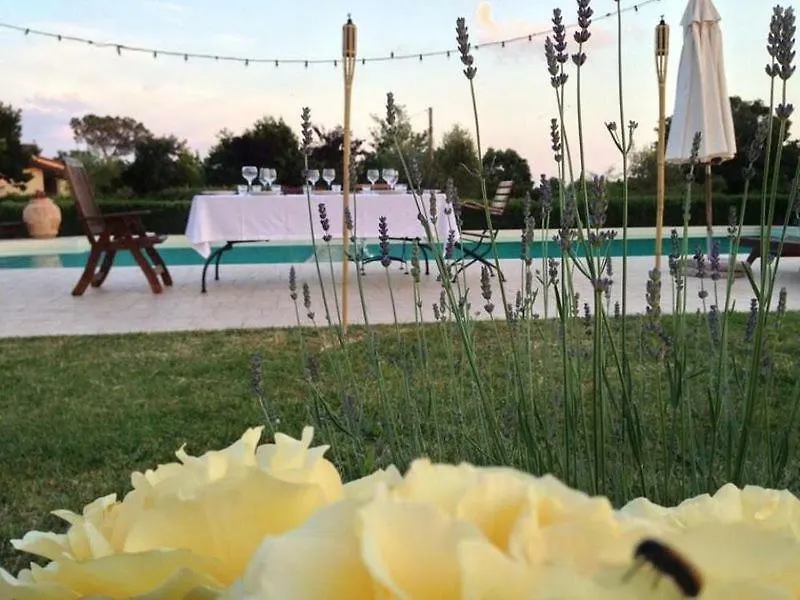 Holiday home La Cascina Nel Roseto Villa Rigutino Italy