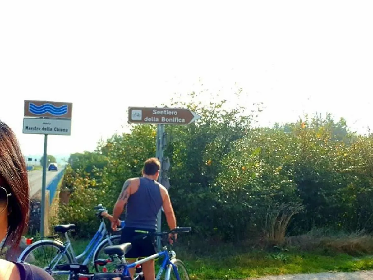 La Cascina Nel Roseto Villa Rigutino Italy